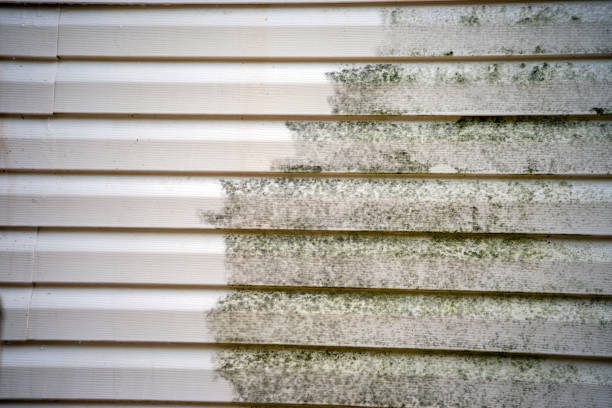 Best Fascia and Soffit Installation  in Rosepine, LA