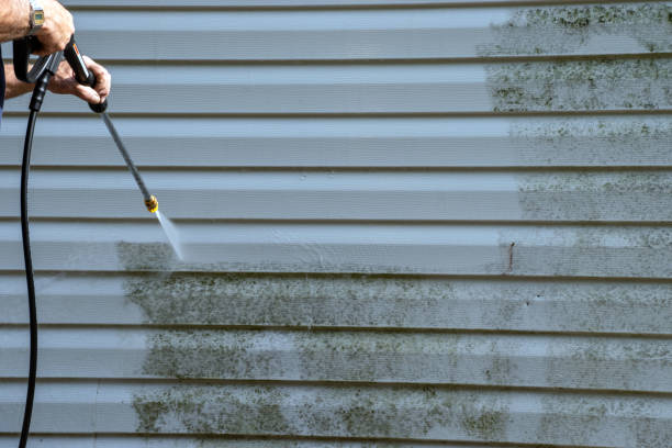Best Wood Siding Installation  in Rosepine, LA