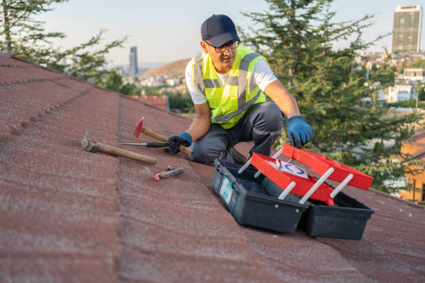 Best Fiber Cement Siding Installation  in Rosepine, LA